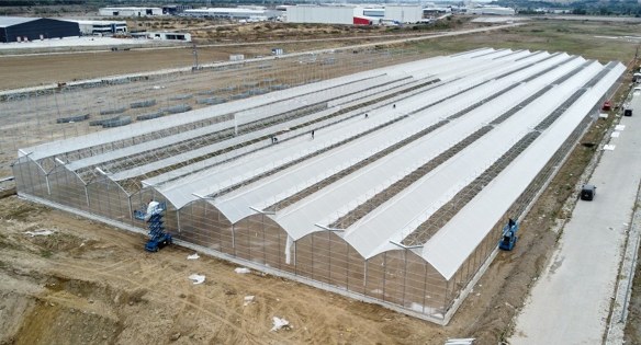 Tarım ve sanayiye can suyu: Samsun'da 245 milyon TL'lik hibe 