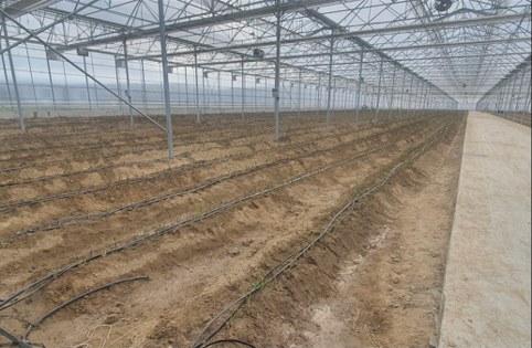 Tarım ve sanayiye can suyu: Samsun'da 245 milyon TL'lik hibe 