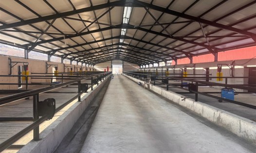 Tarım ve sanayiye can suyu: Samsun'da 245 milyon TL'lik hibe 