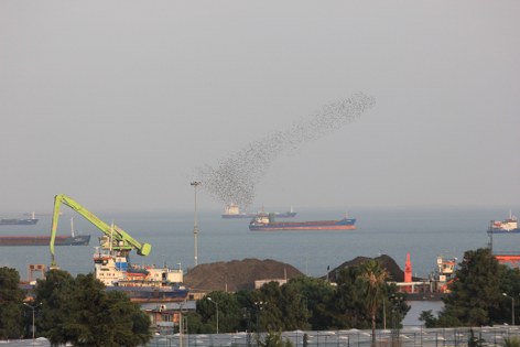 Bölge ekonomisine Samsun imzası!