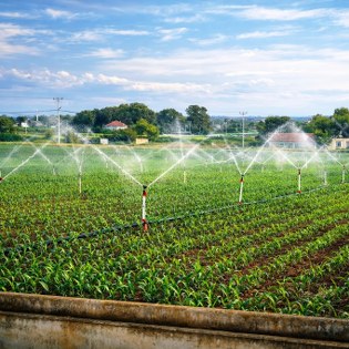 Samsun'da 67 milyon liralık dev tarım hamlesi!