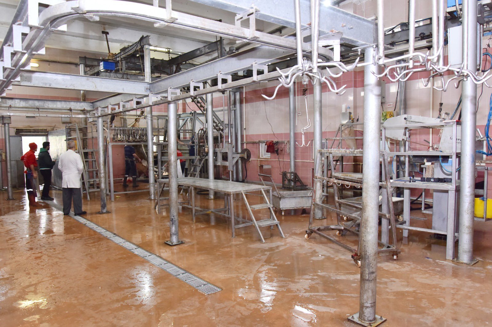 G9 Z5 Rr W A A A Okf