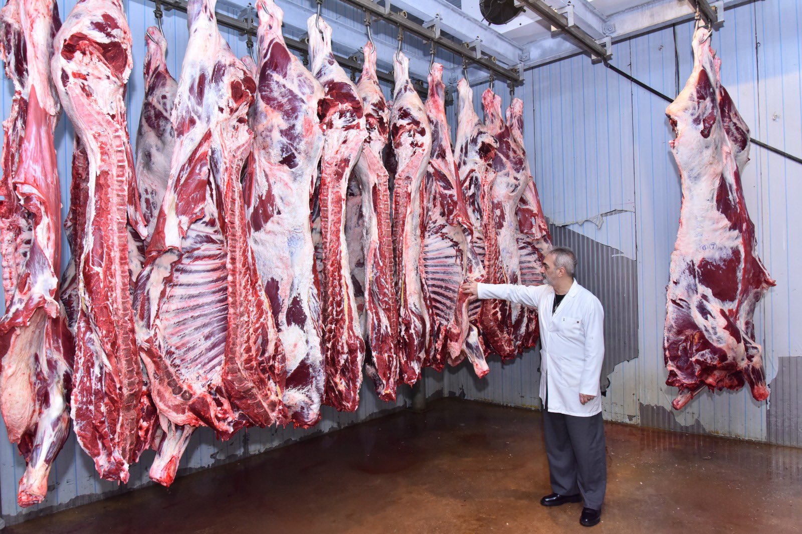 G9 Z5 Rs W8 A Eal7 V