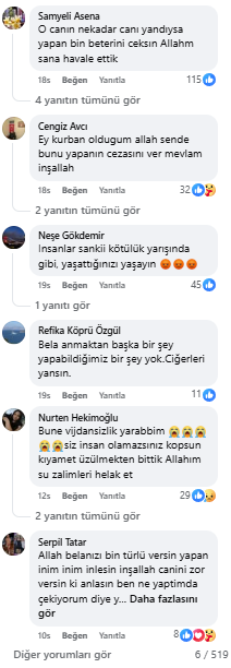 Samsun'da vahşet: Kediyi tellerle ağaca astılar