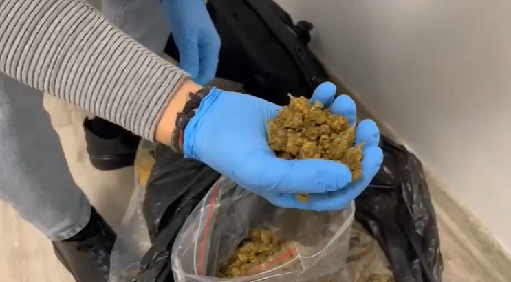 Narkotik Ekiplerinden Baskin 2