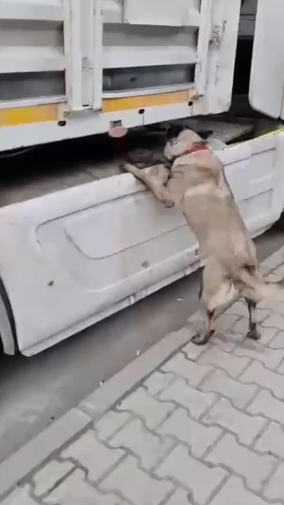 Samsun Operasyon 28126