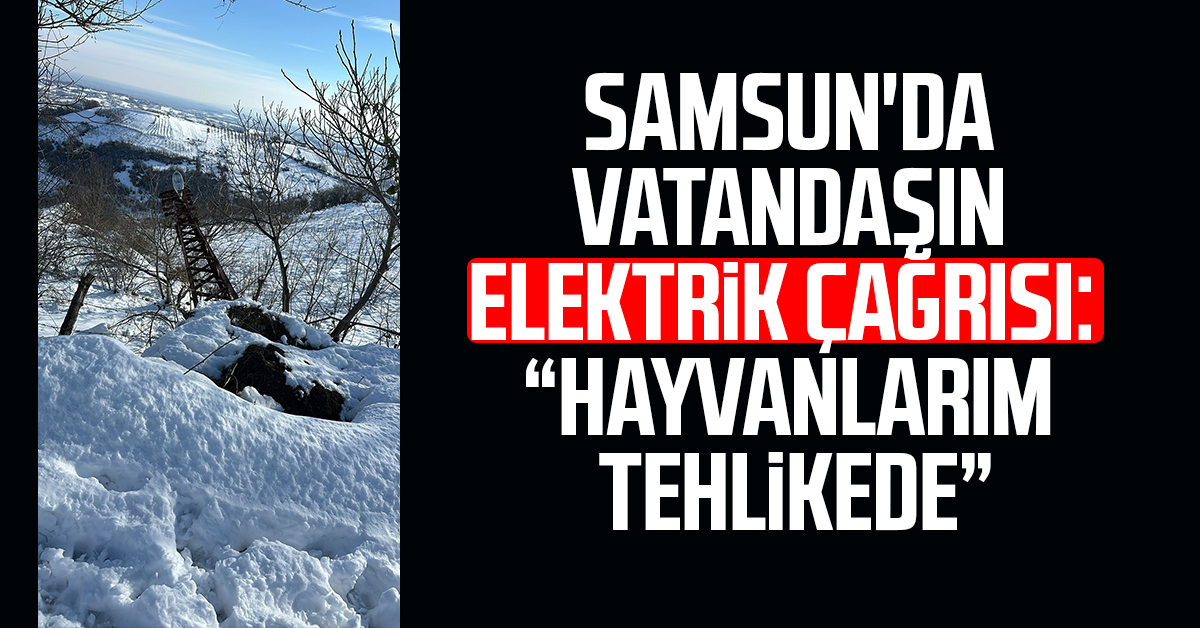 https://www.samsungazetesi.com/samsunda-vatandasin-elektrik-cagrisi-hayvanlarim-tehlikede