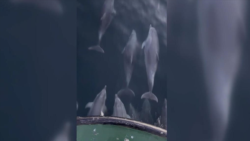 Thumbs B C 99E1Fffb0611C2Cea9D9D97D03D87808