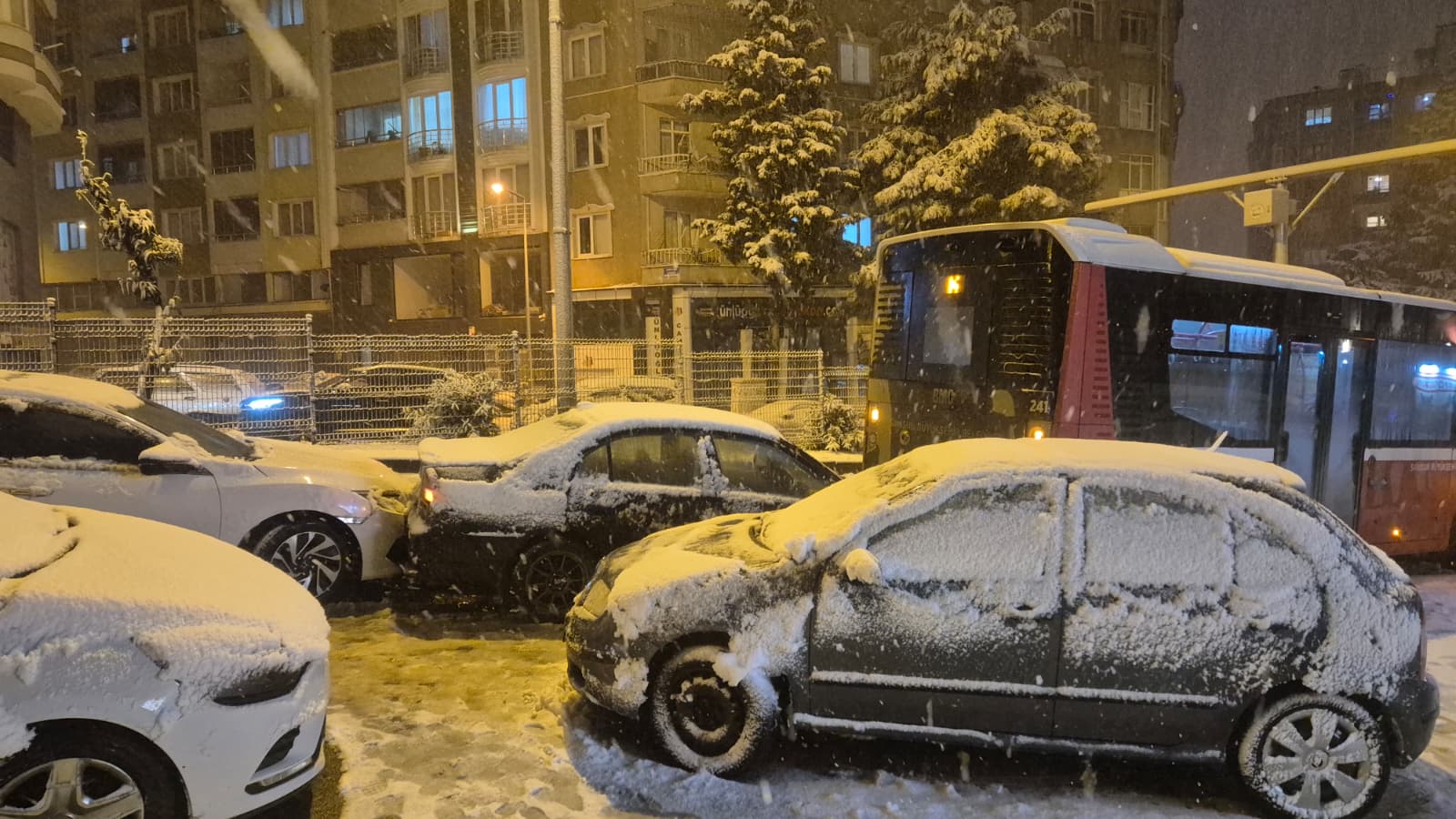 Whatsapp Image 2026 01 01 At 20.02.03