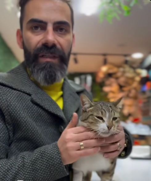 Vicdanlar sızladı: Samsun'da kedi vahşetinde yeni gelişme!