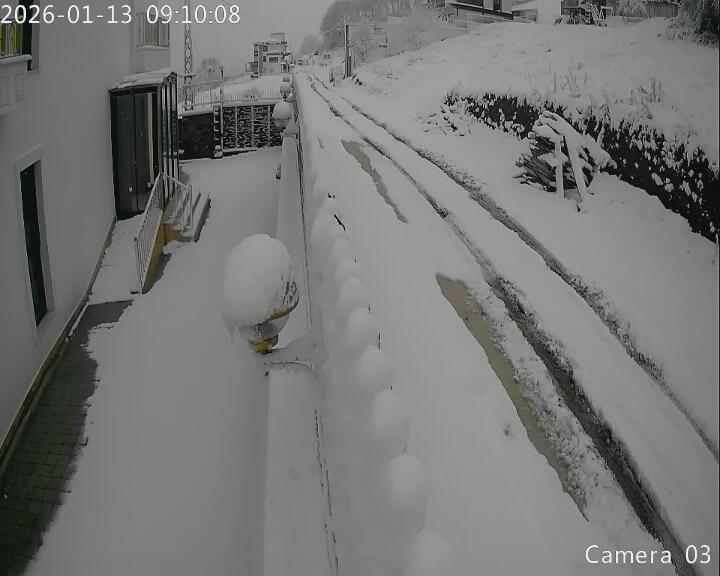 Samsun'da kar: Büyükoyumca Mahallesi beyaza büründü 