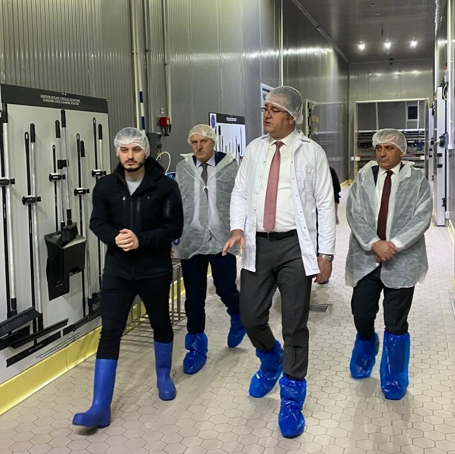 Türk somonu Samsun'dan dünyaya açılıyor! 