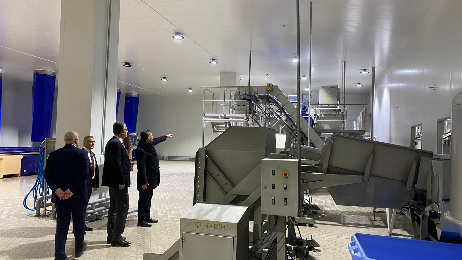 Türk somonu Samsun'dan dünyaya açılıyor! 