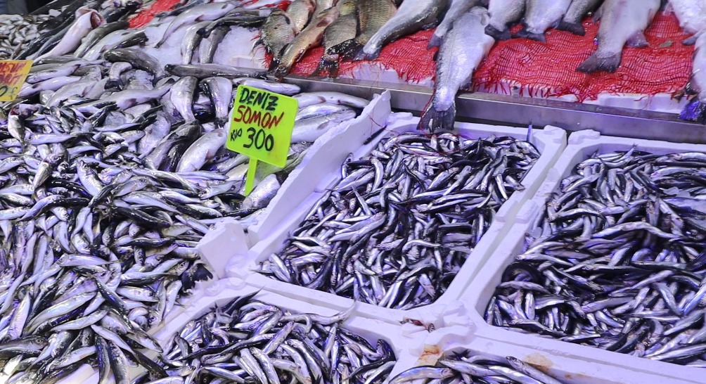 Whatsapp Image 2026 01 28 At 16.23.18 (1)