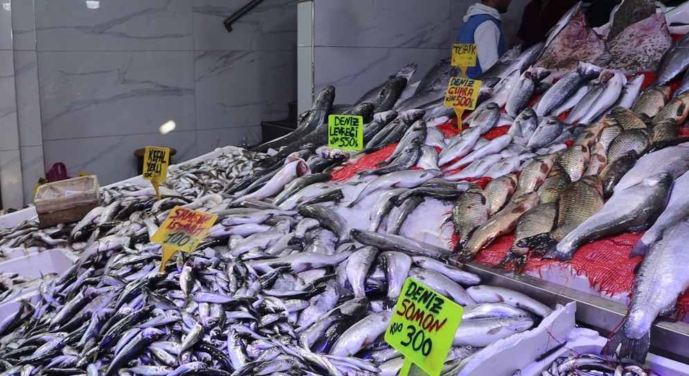 Whatsapp Image 2026 01 28 At 16.23.18 (2)