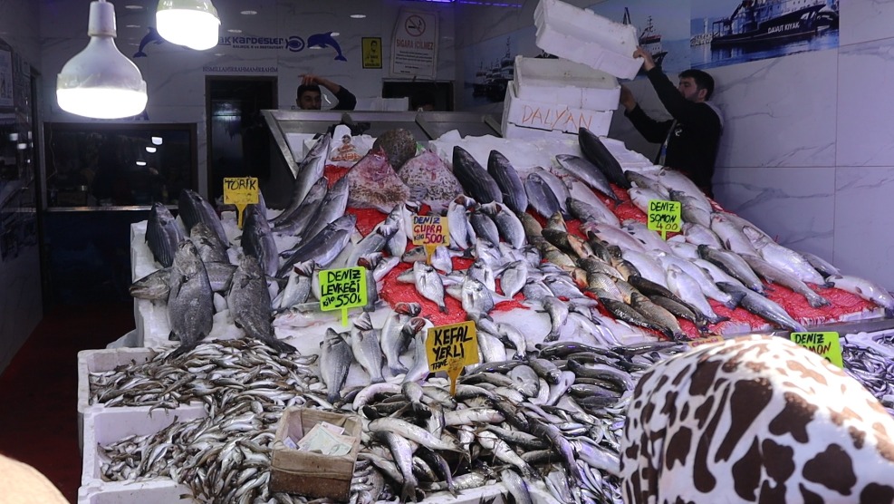 Whatsapp Image 2026 01 28 At 16.23.18