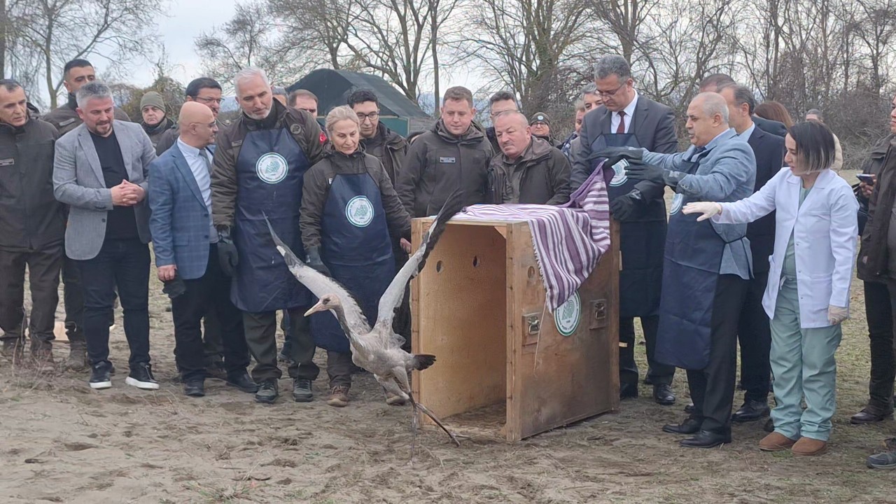 A A 20260202 40441390 40441386 S A M S U N K I Z I L I R M A K D E L T A S I N D A Y A B A N H A Y V A N L A R I D O G A Y A S A L I N D I 1280X720