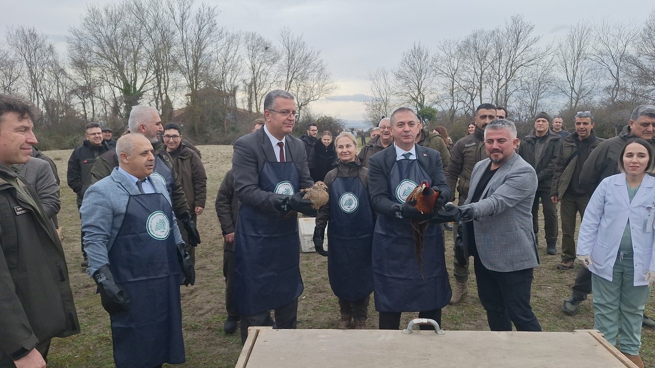 A A 20260202 40441390 40441387 S A M S U N K I Z I L I R M A K D E L T A S I N D A Y A B A N H A Y V A N L A R I D O G A Y A S A L I N D I 1280X720