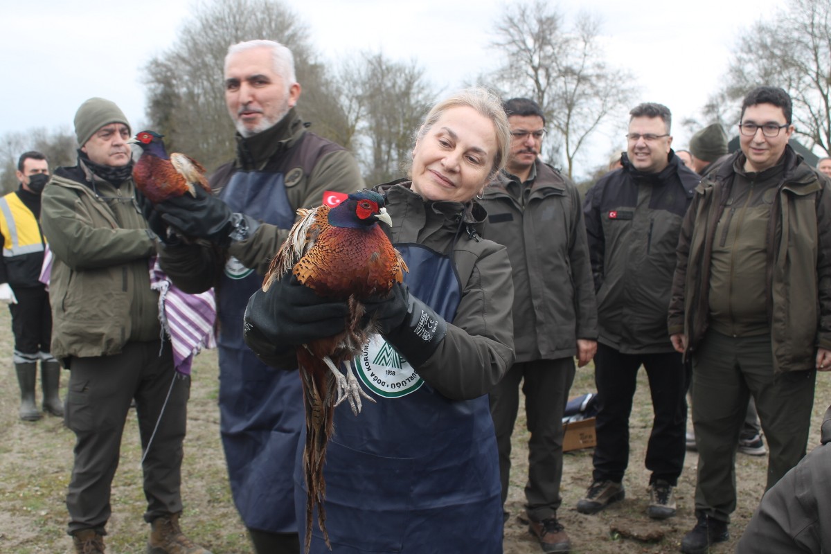 A A 20260202 40441390 40441388 S A M S U N K I Z I L I R M A K D E L T A S I N D A Y A B A N H A Y V A N L A R I D O G A Y A S A L I N D I 1200X800