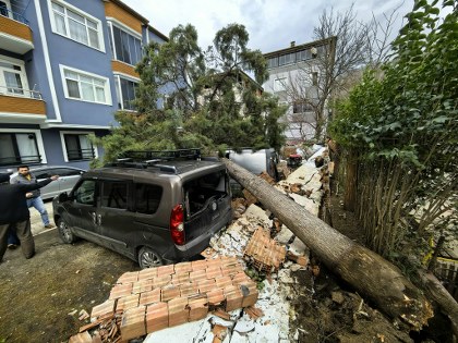 Samsun'da fırtına yıktı geçti! Araçlar zarar gördü