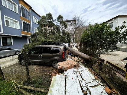 Samsun'da fırtına yıktı geçti! Araçlar zarar gördü