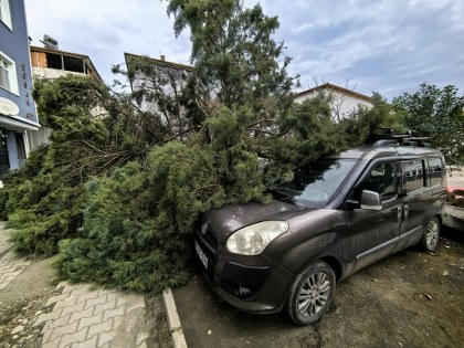 Samsun'da fırtına yıktı geçti! Araçlar zarar gördü