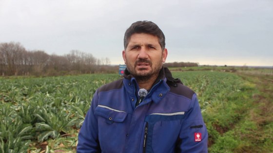 Tarlada 8 lira, rafta 50 lira: Samsun'da üretici tepkili