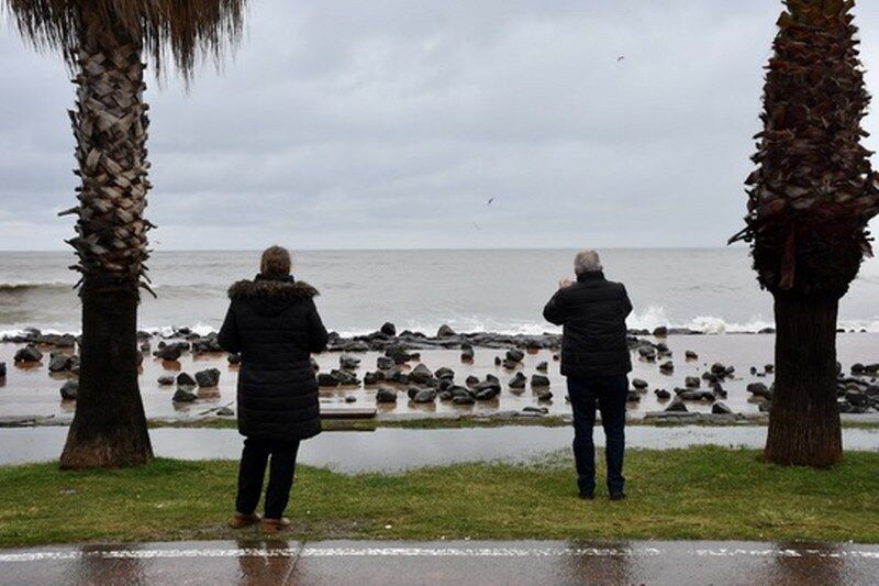 Samsun'da 5 metrelik dalgalar yıktı geçti! 