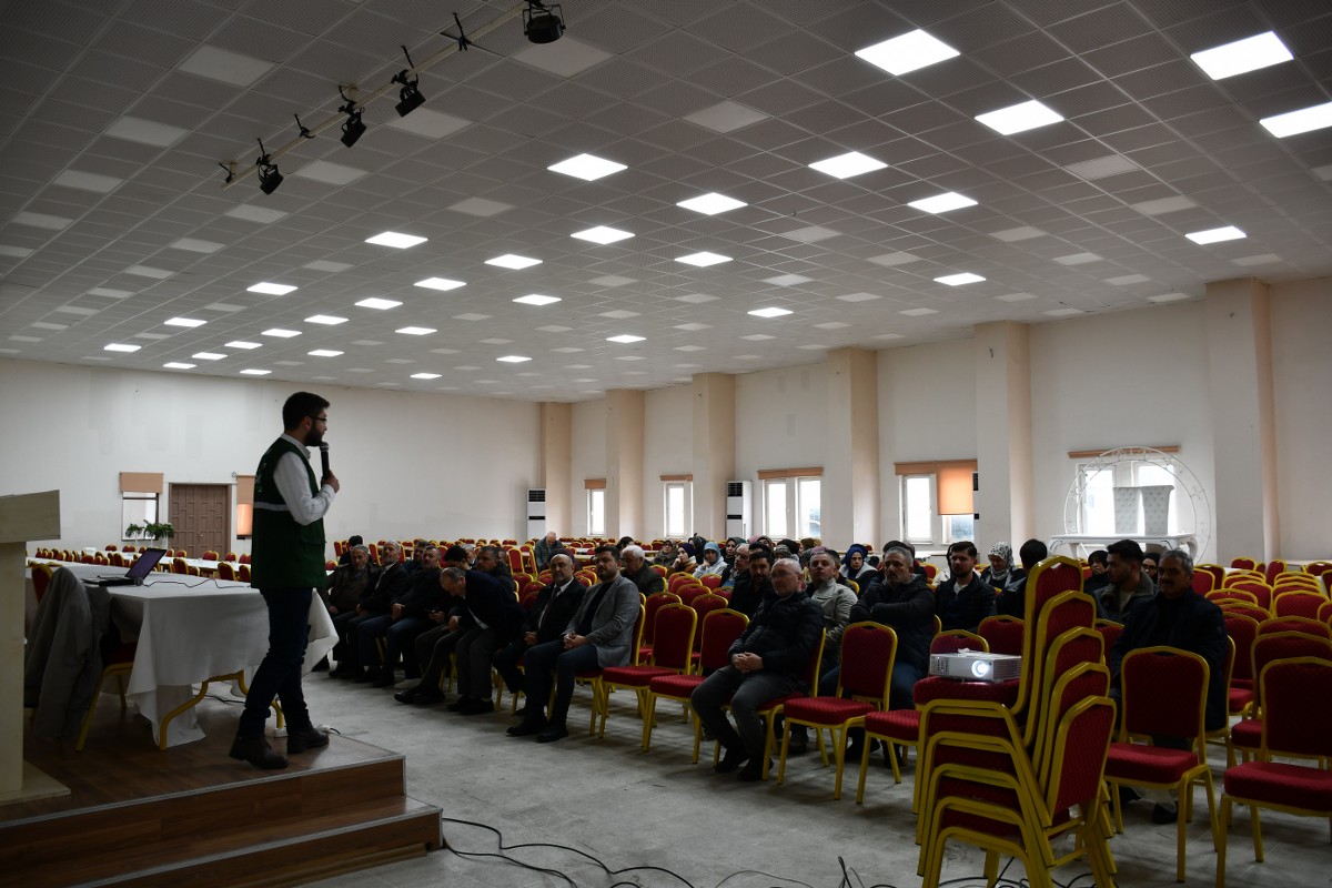 A W633235 03 1200X800