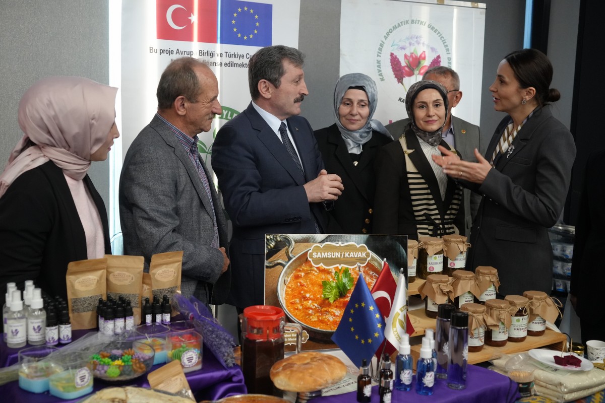 A W635678 05 1200X800