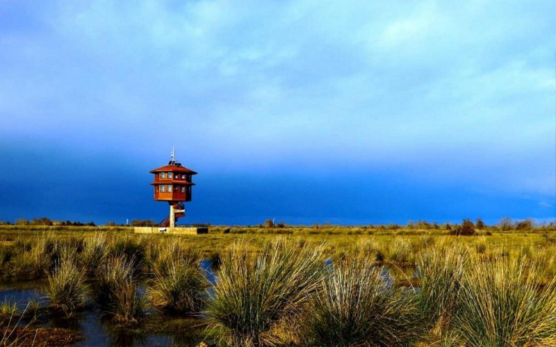 Doğanın kalbi Samsun'da atıyor! 16 alan koruma altında 