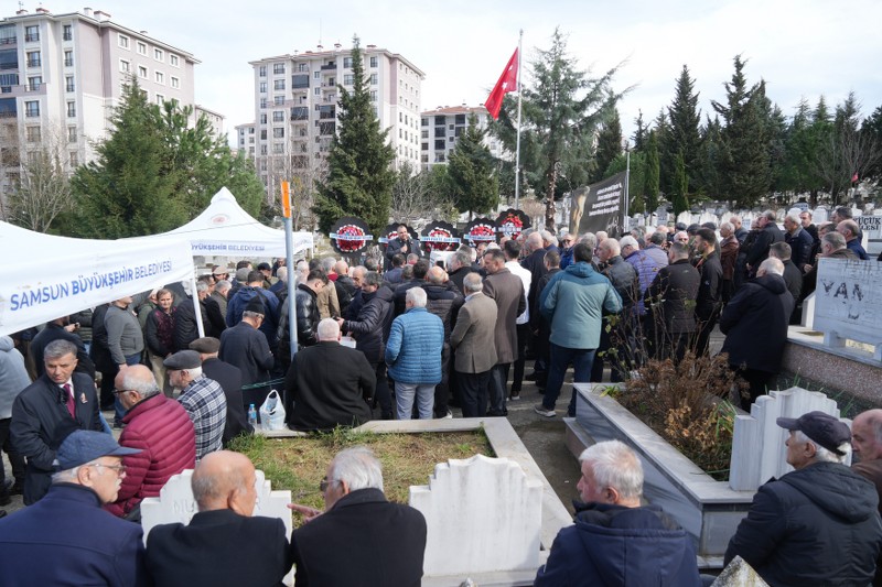 A W641325 01 800X533