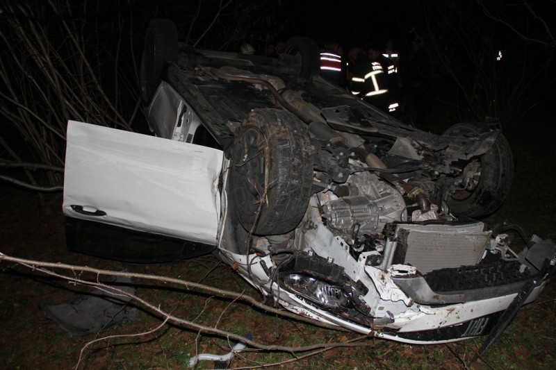 A W641468 06 800X533