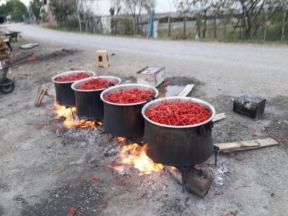 Tescilli lezzet Çarşamba biber tuzu sınırları aşıyor