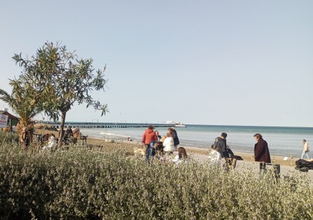 Samsun'da Dr. Emin Dinççağ'dan çağrı: Parasız ama etkili tedavi