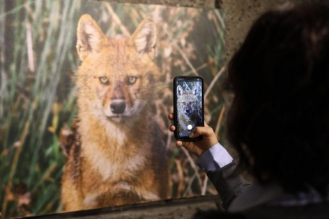 Kızılırmak Deltası için TBMM hedefi 