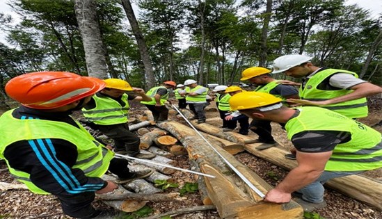 Vezirköprü ilk sırada! Samsun ekonomisine dev katkı