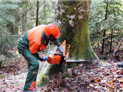 Vezirköprü ilk sırada! Samsun ekonomisine dev katkı