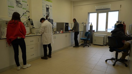 Samsun'da sağlıktan sanayiye kenevir devrimi!