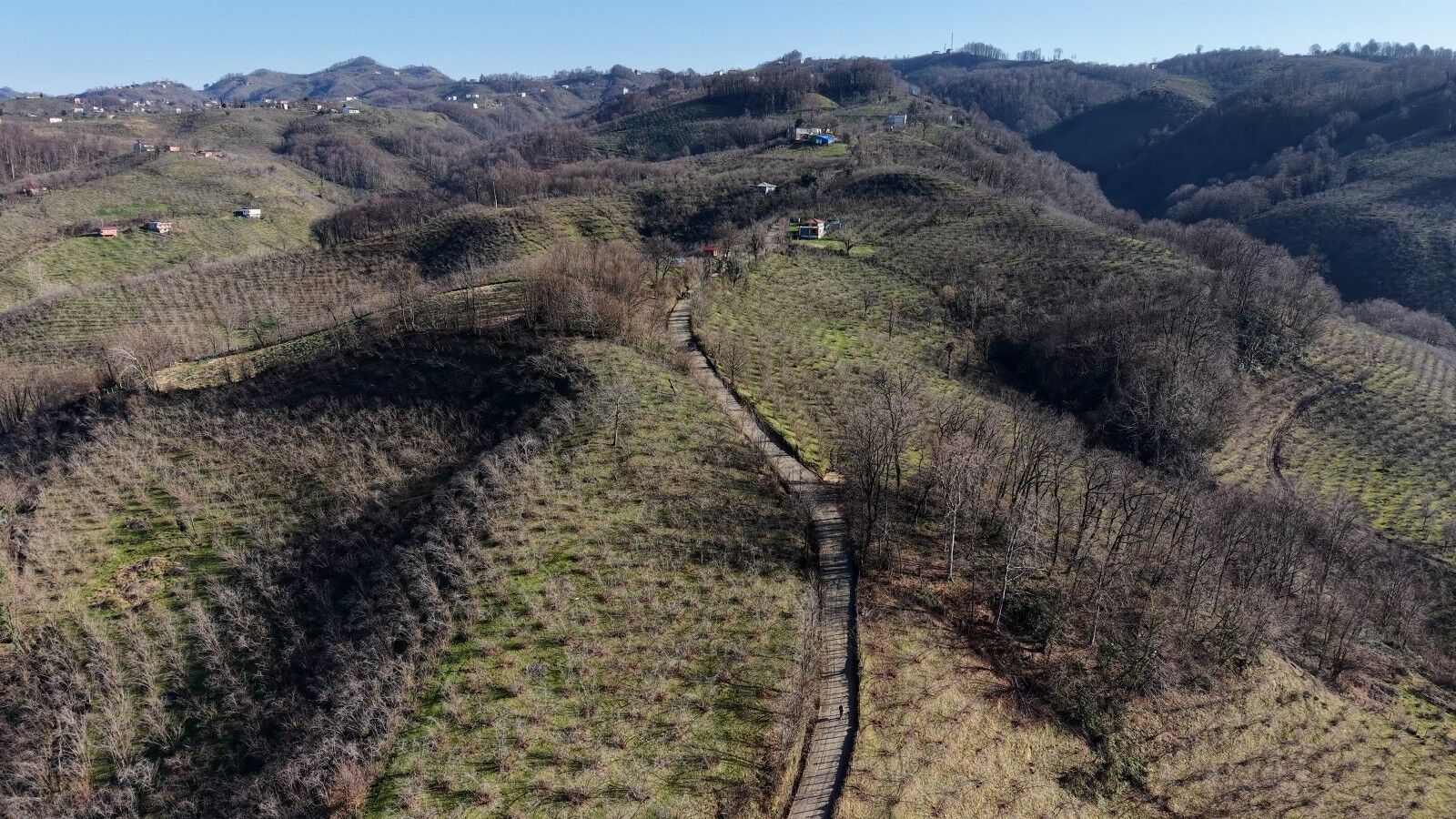 A W650481 02 1600X900