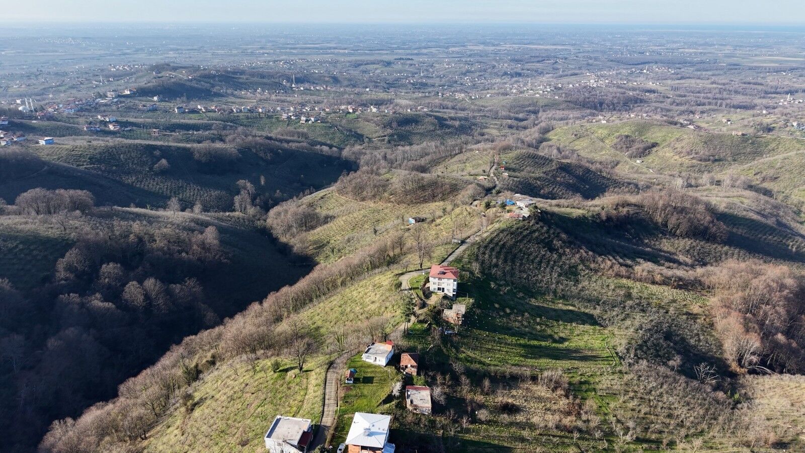 A W650481 03 1600X900