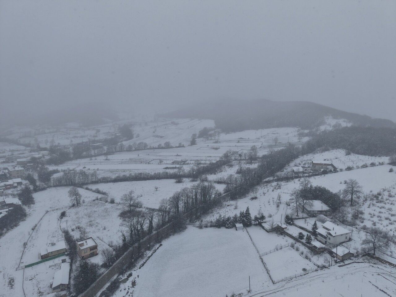 A W651274 02 1280X960