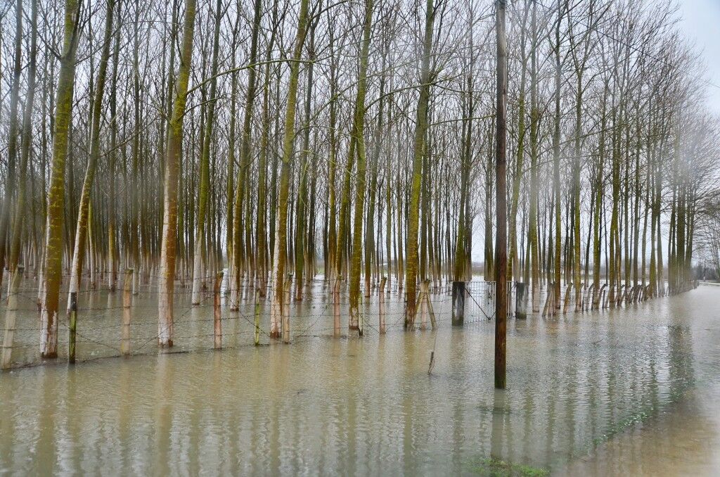 A W652021 05 1024X678