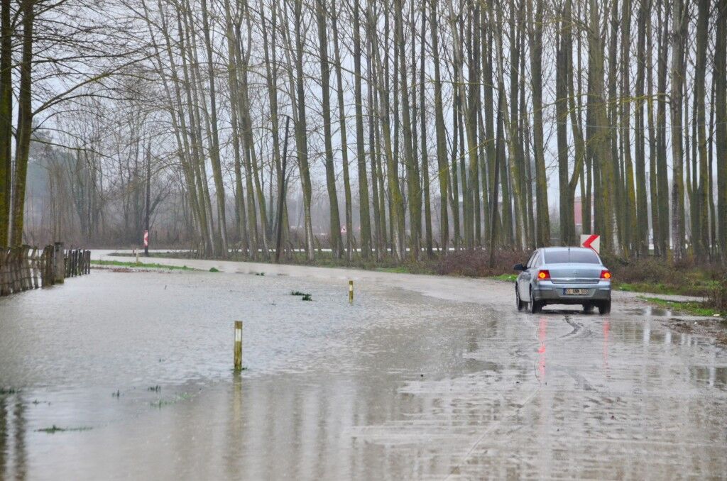 A W652021 06 1024X678