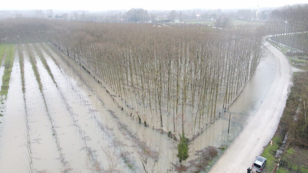 A W652021 07 1024X576