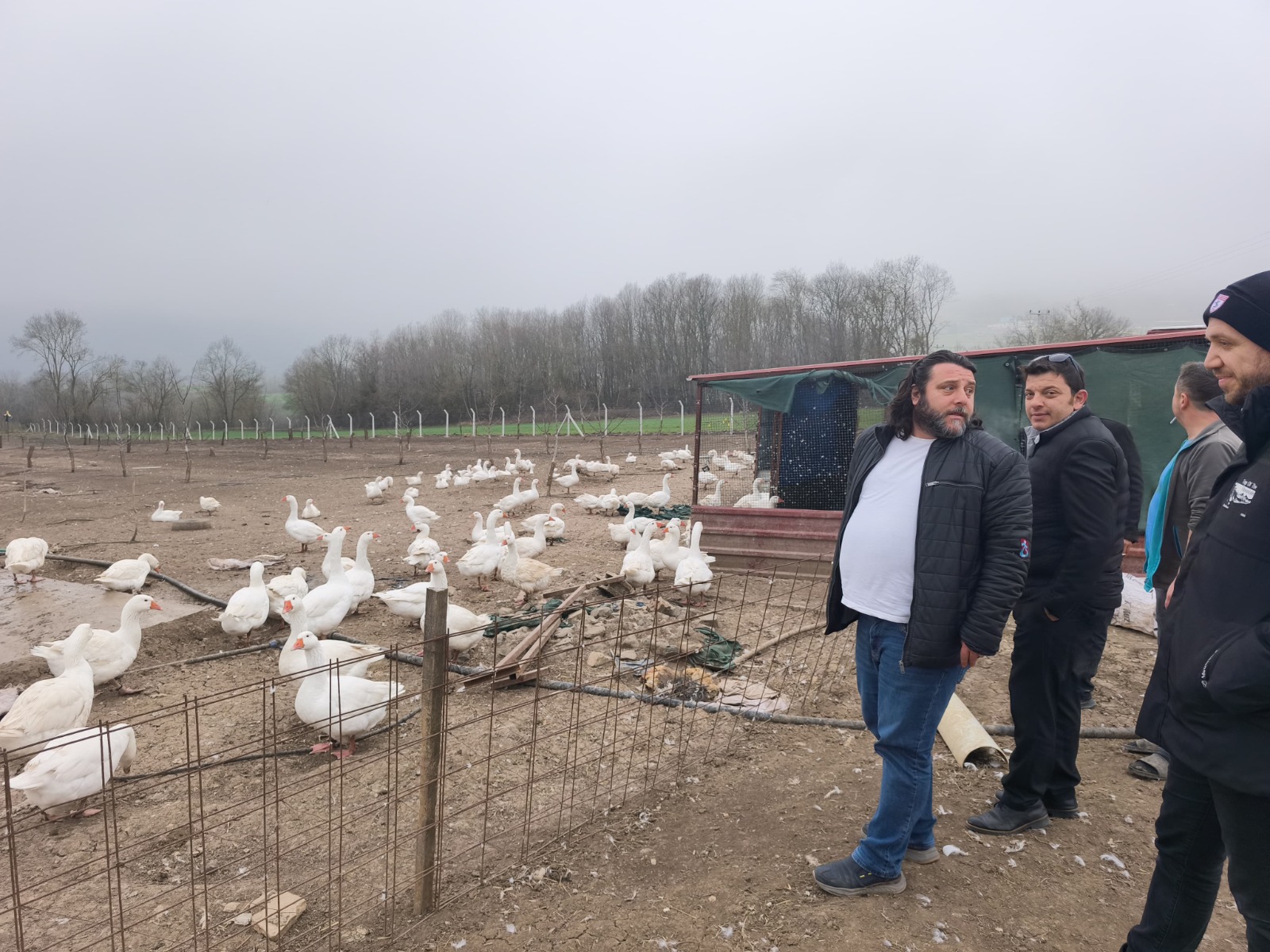 A5Dc3D46 79F8 40F4 8D03 22Eb1E7Ff538