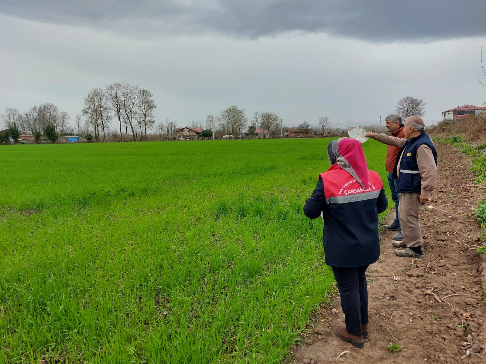 Çarşamba'da Fenolojik Gözlem Ve Destekleme Çalışmaları (1)
