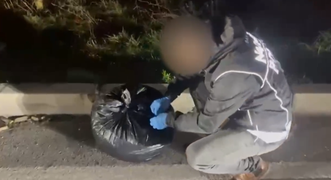 Samsun'da zehir tacirlerine darbe: 80 bin adet ele geçirildi 