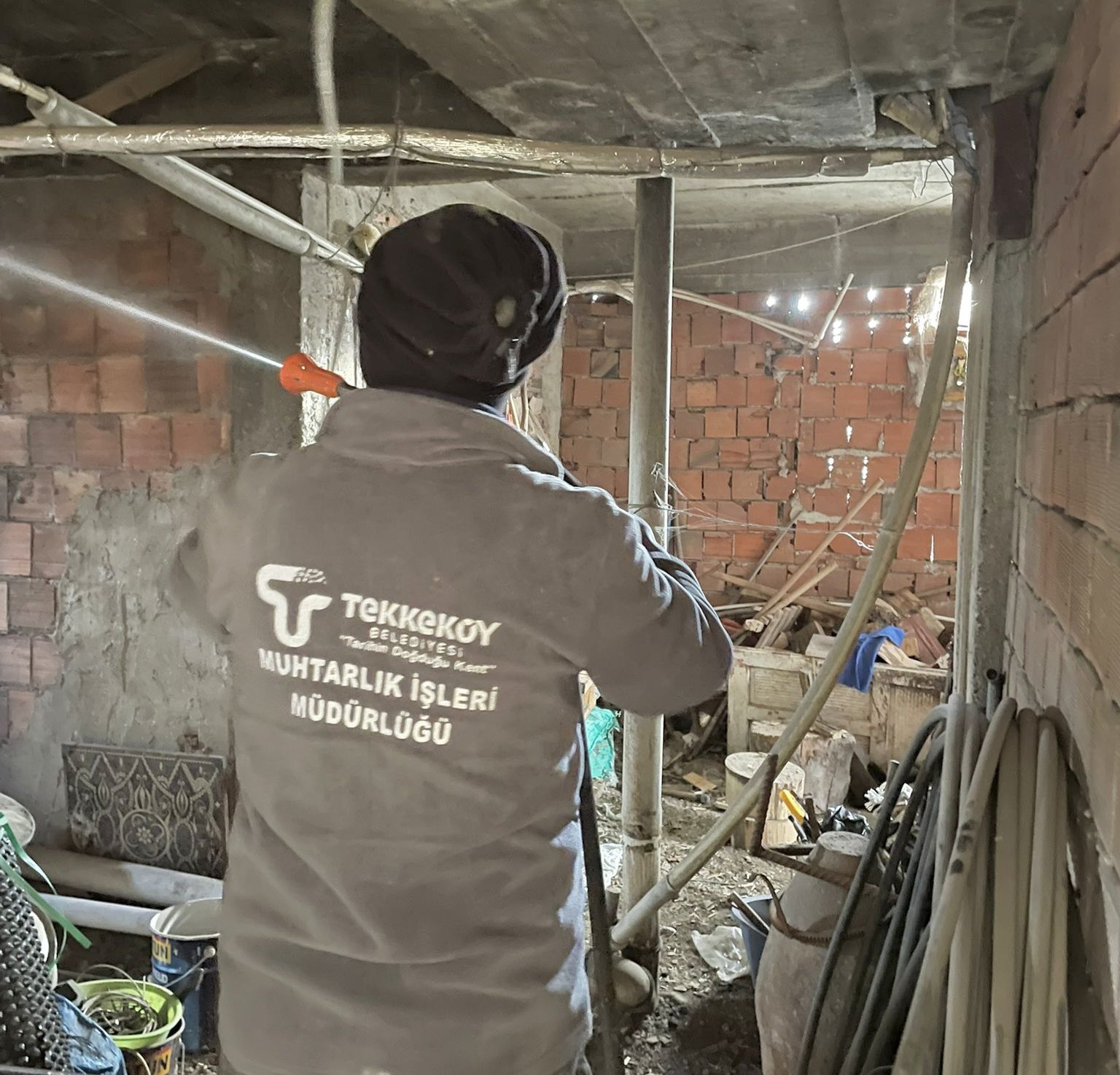 Tekkeköy’de kahverengi kokarcaya karşı seferberlik 