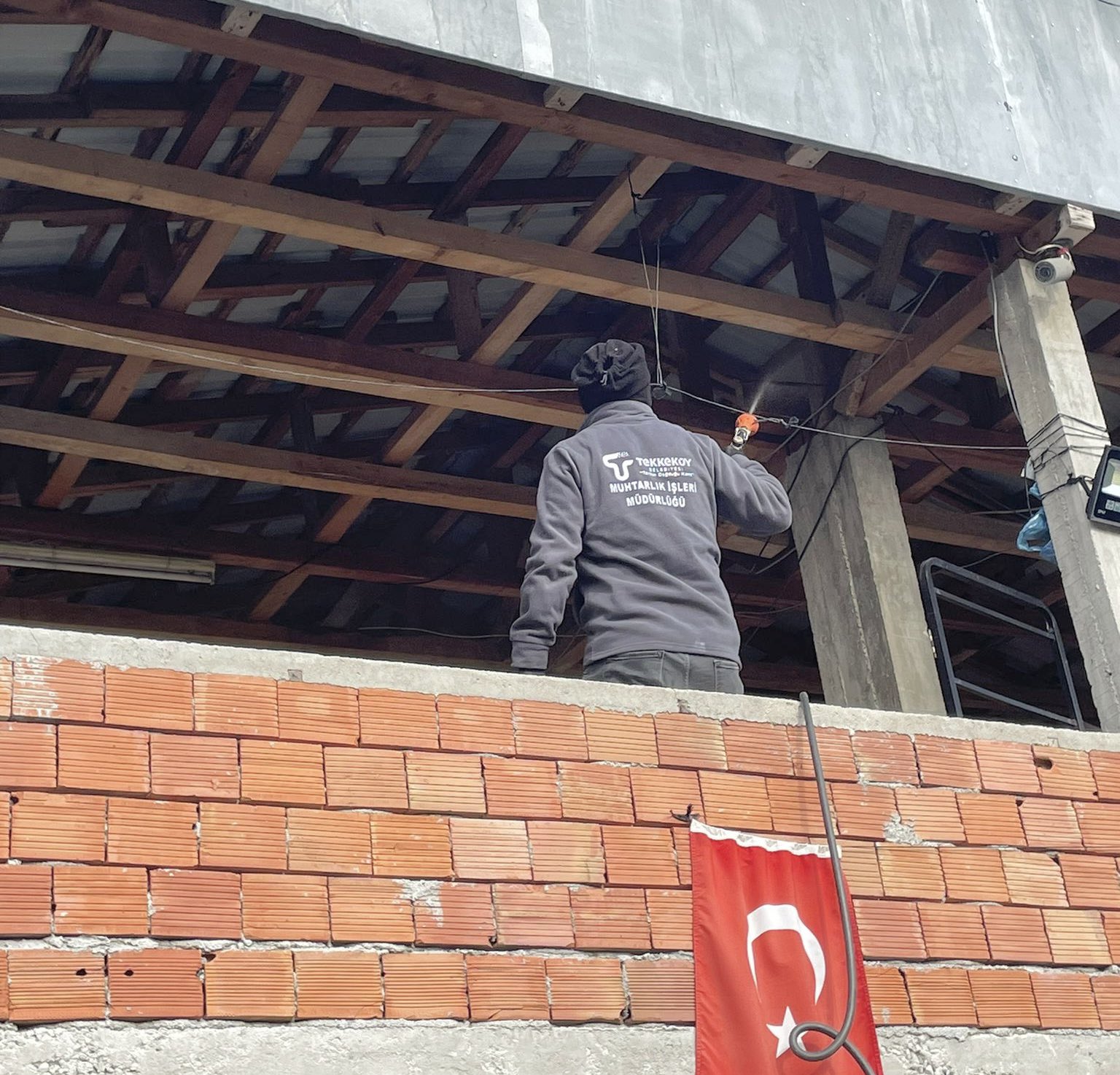 Tekkeköy’de kahverengi kokarcaya karşı seferberlik 